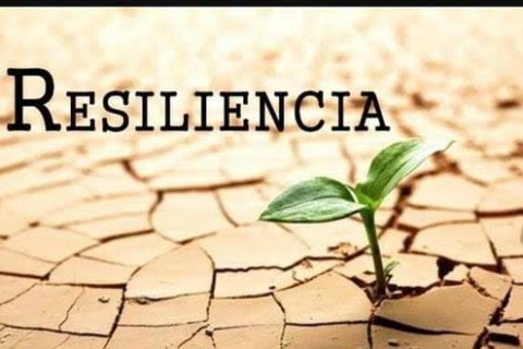 Prefeitura avança na construção de estratégias para resiliência climática
