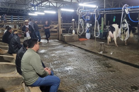 Prefeitura de Muriaé realiza etapa do Torneio Curraleiro na região do Siriquite