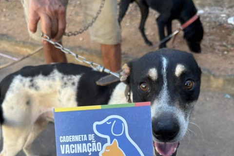 Prefeitura realiza repescagem da vacinação antirrábica em Muriaé