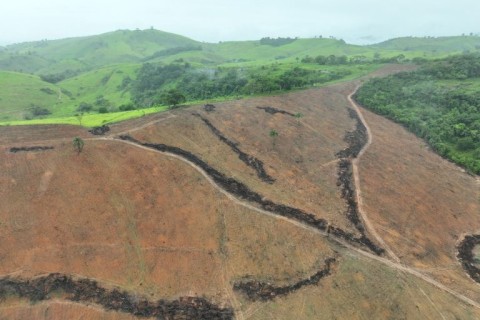 PM do Meio Ambiente multa em mais de R$ 500 mil desmate ilegal