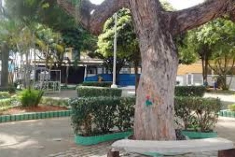 Prefeitura realiza ações de manutenção e cuidado com os espaços públicos