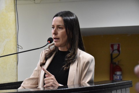 Semana Municipal de Transparência do Conselho Tutelar e de prestação anual de contas é aprovado
