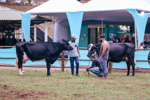 9ª Expoleite das Montanhas movimenta a FEAGRO Muriaé 2026 com genética de excelência, grandes oportunidades de negócios e a novidade do 1º Leilão Girolando das Montanhas