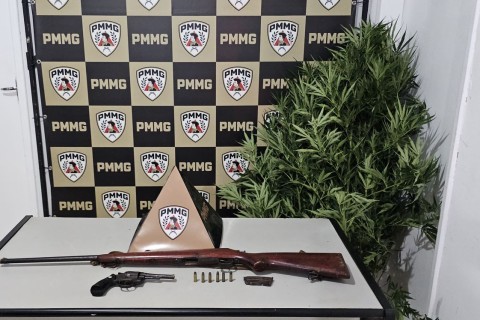 PMMG localiza vasta plantação de maconha e apreende armas de fogo na zona rural de Fervedouro