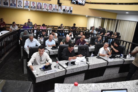 Câmara aprova criação do Programa Municipal “Vaga Verde”