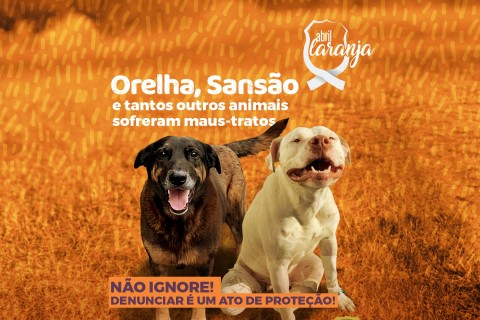 Campanha Abril Laranja: denunciar é um ato de proteção