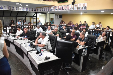Câmara de Muriaé aprova projeto que garante atendimento prioritário e humanizado a mulheres vítimas de violência